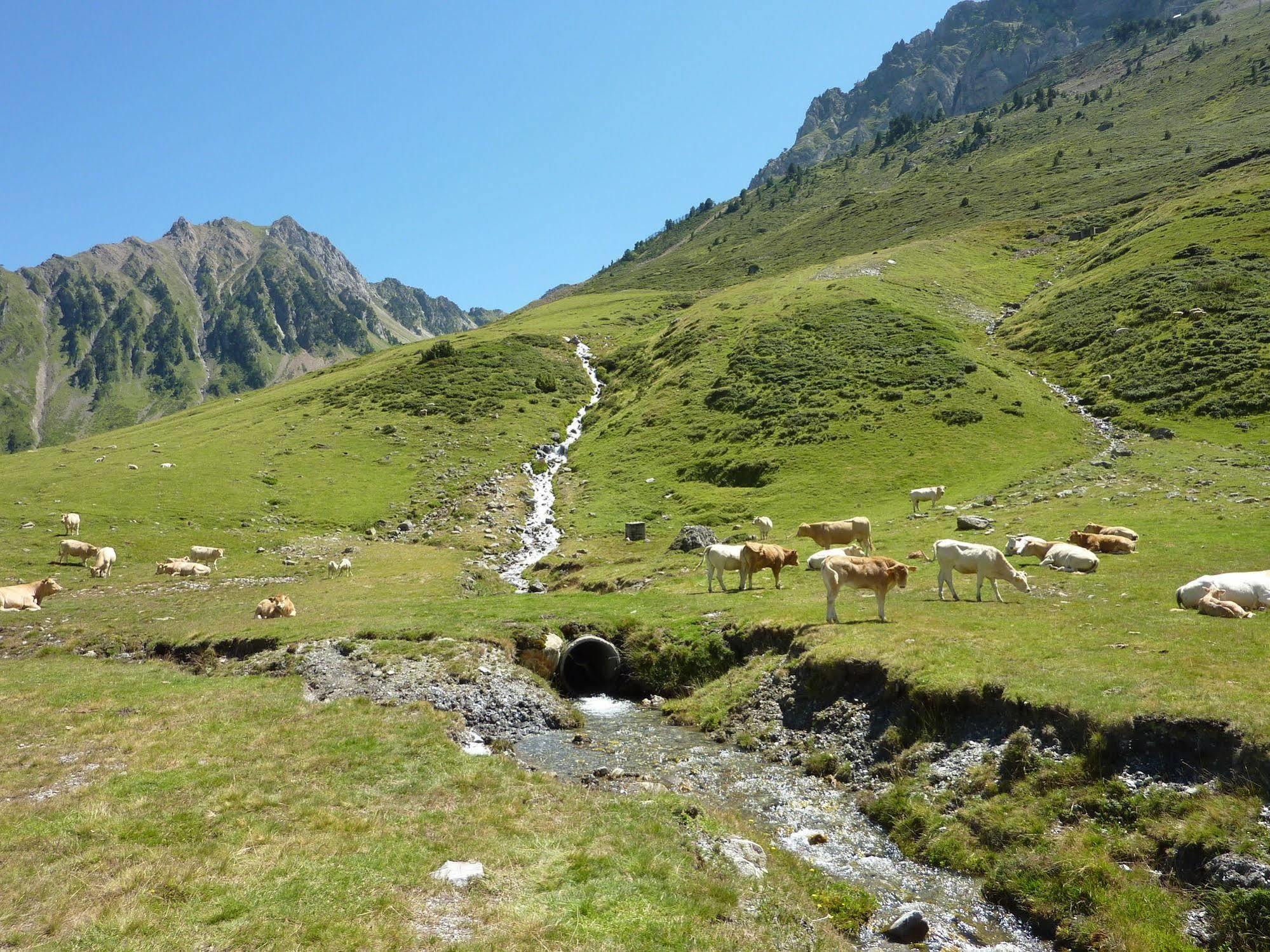 Residence Mer & Golf Tourmalet La Mongie Dış mekan fotoğraf